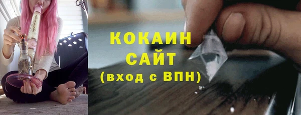 ГАЛЛЮЦИНОГЕННЫЕ ГРИБЫ Гусев