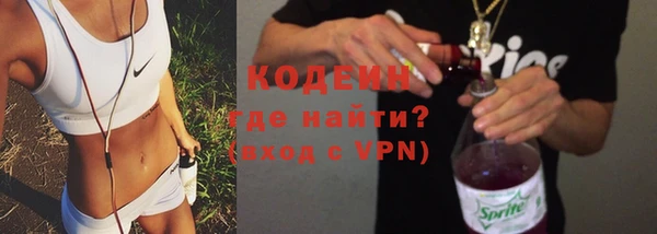 ГАЛЛЮЦИНОГЕННЫЕ ГРИБЫ Гусев