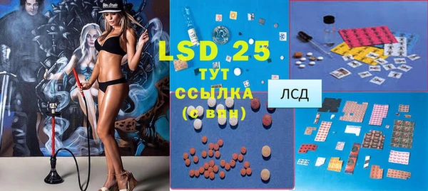 ГАЛЛЮЦИНОГЕННЫЕ ГРИБЫ Гусев