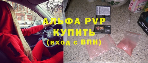 ГАЛЛЮЦИНОГЕННЫЕ ГРИБЫ Гусев