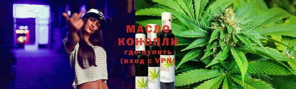 ГАЛЛЮЦИНОГЕННЫЕ ГРИБЫ Гусев