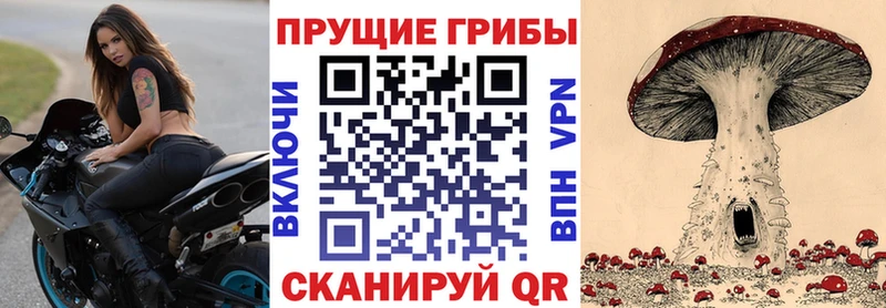 Галлюциногенные грибы MAGIC MUSHROOMS  купить наркотик  Гремячинск 